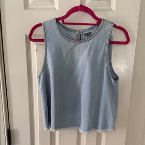 aerie Light blue Jean top